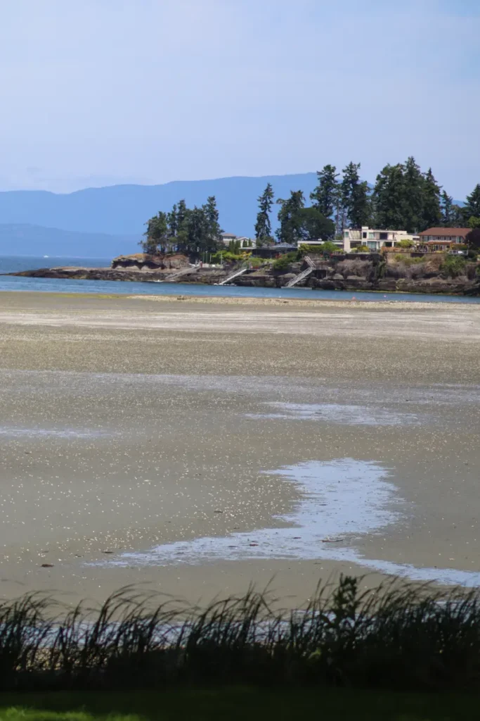 sand beach view