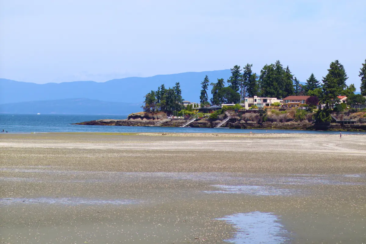 Low tide sand flats in Nanoose Bay with a forested point and mountains