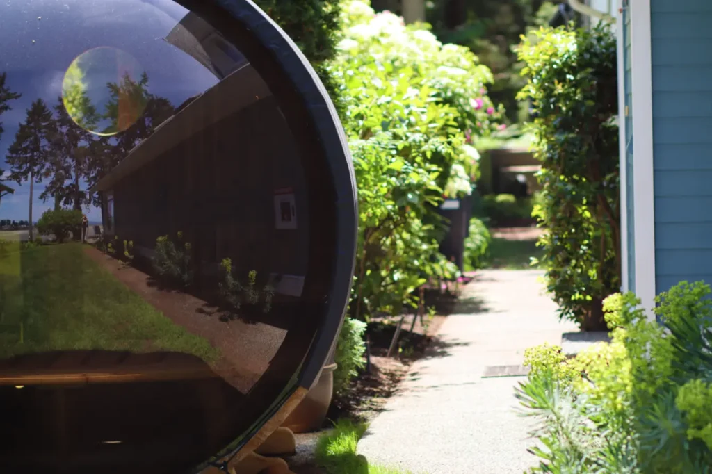 Side mirror with view